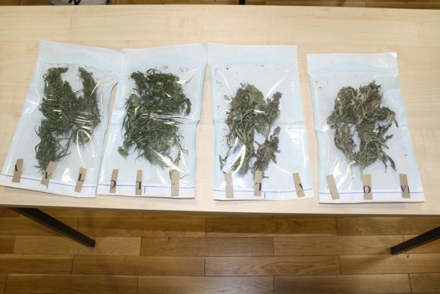 U 39-latka z gminy Ryńsk policjanci zabezpieczyli łącznie ponad 4,6 kg narkotyków.