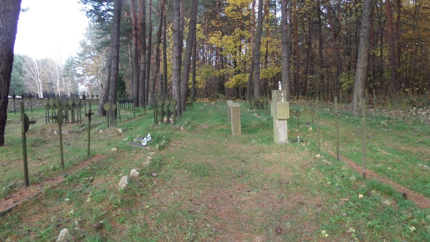 Zaduszki. Cmentarz wojenny żołnierzy z I wojny światowej w Kotowicach ZDJĘCIA