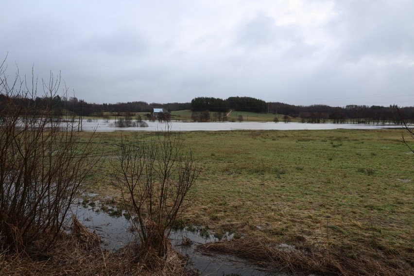 Rzeka Łeba w Miłoszewie jak jezioro - poziom wody przekroczył stan alarmowy!
