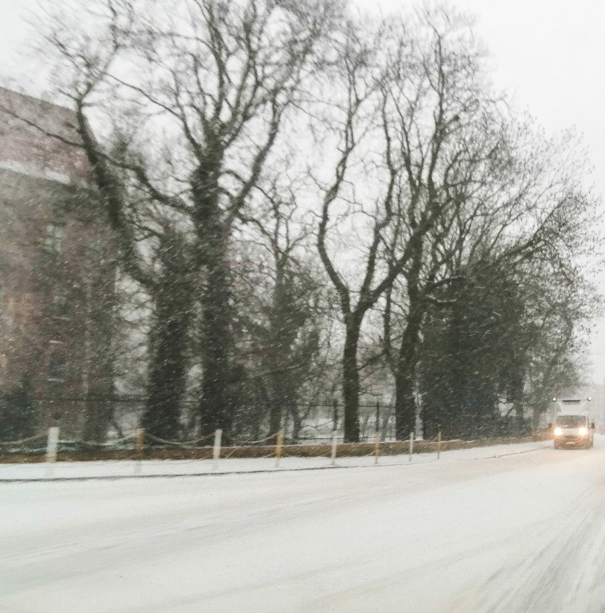 Szamotuły. Śnieżyca, mróz i ślizgawka na ulicach! Jak sprawdziły się nasze służby? [ZDJĘCIA]