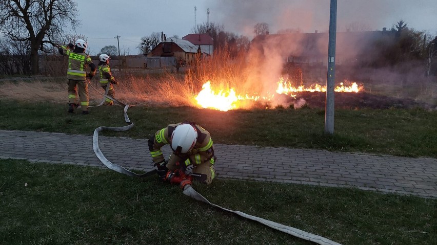 Niespokojny lany poniedziałek strażaków z gminy Margonin