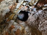 Sensacyjne odkrycie w Czeladzi. W trakcie remontu kamienicy robotnicy trafili na starą studnię. Kiedy się tam pojawiła?