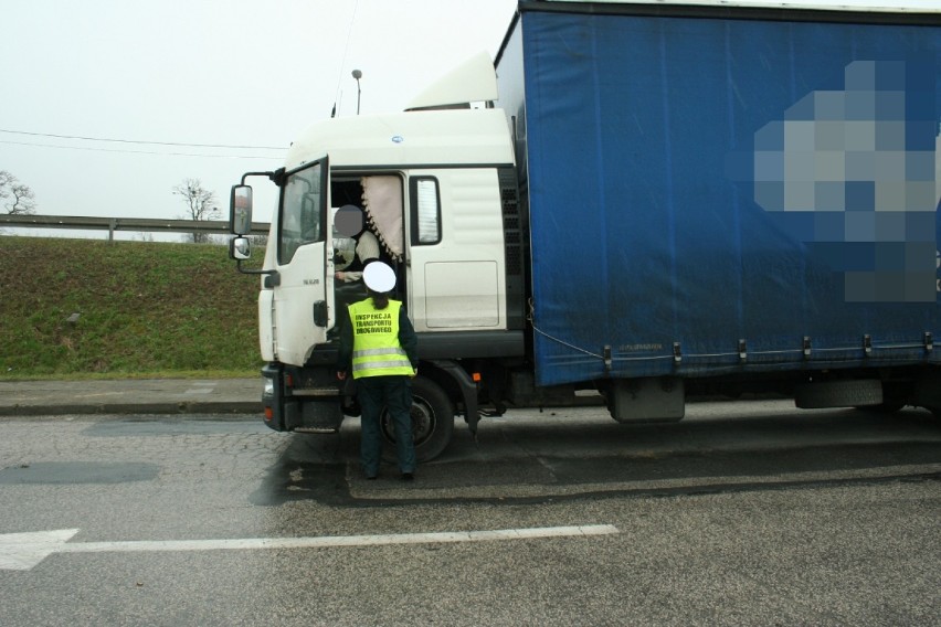 Funkcjonariusze trzech służb kontrolowali samochody ciężarowe w gminie Barcin [zdjęcia]