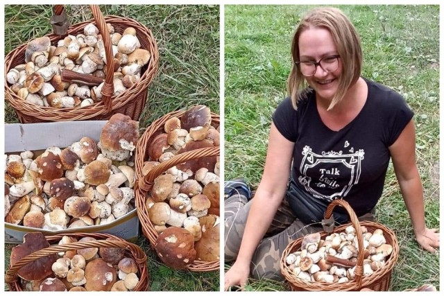 Mieszkanka Zabrzeży ma swoje sposoby na szukanie grzybów. Jej zbiory z sądeckich i limanowskich lasów są imponujące.