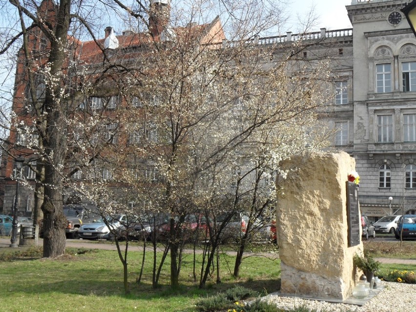 Wiosna 2014 w Mysłowicach