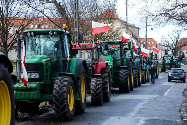 Dolnośląskie, protest rolników 24 stycznia 2024. Grupa traktorów z polskimi flagami wjechała na drogę krajowa nr 8.
