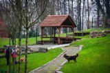 Nowe wybiegi dla psów w Szczecinie: Dla tych większych i szczeniaków [ZDJĘCIA]