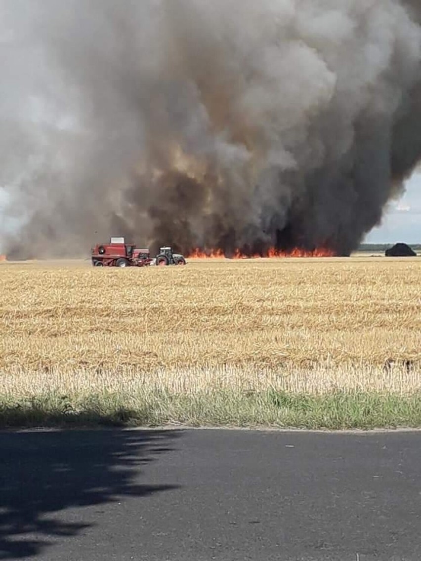 Gmina Skoki. Pożar zboża na pniu. Spłonęło nawet do 10 hektarów! 