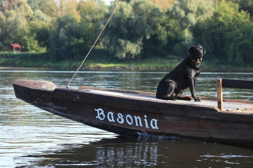 Toruńscy Flisacy proponują rejsy tradycyjną łodzią po Wiśle