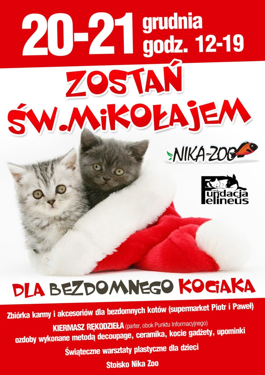 Fundacja Felineus w Rzeszowie - zostań Świętym Mikołajem dla bezdomnych zwierząt