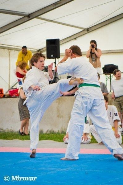Dąbrowscy karatecy zaprezentowali się podczas festiwalu w węgierskim Budapeszcie