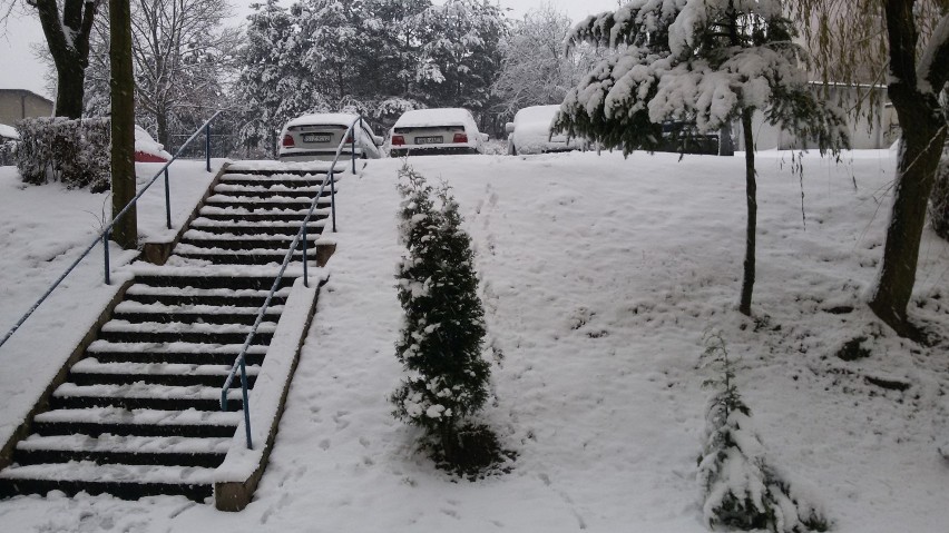 Zima w Jastrzębiu: miasto zasypane śniegiem