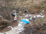Stop śmieciom i nielegalnym wysypiskom! Apel do mieszkańców Strzebinia