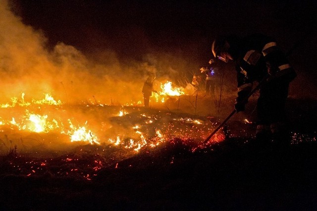 Przykłady groźnych pożarów traw, do jakich doszło w ostatnich dniach na Żywiecczyźnie. Strażacy mieli pełne ręce roboty.
