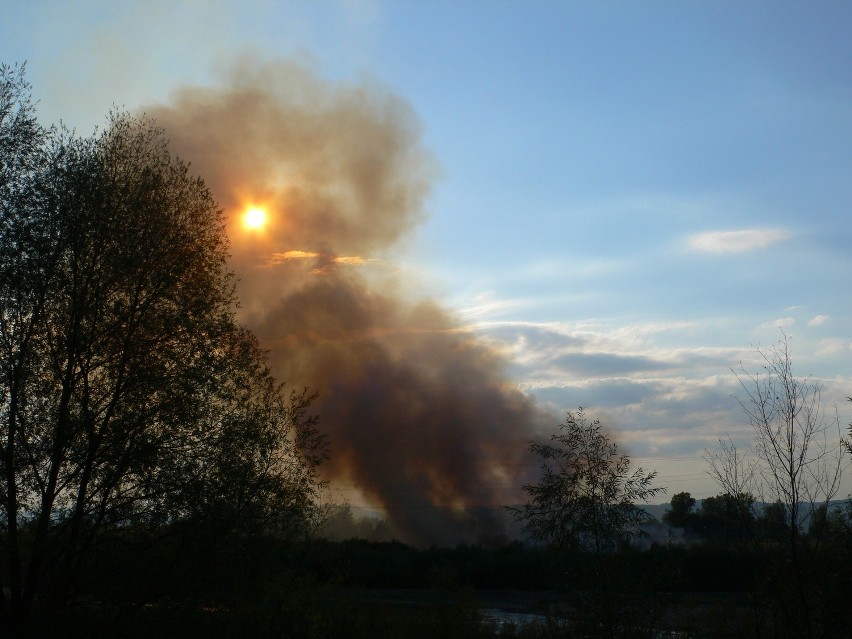 Pożar w Świniarsku nad Dunajcem
