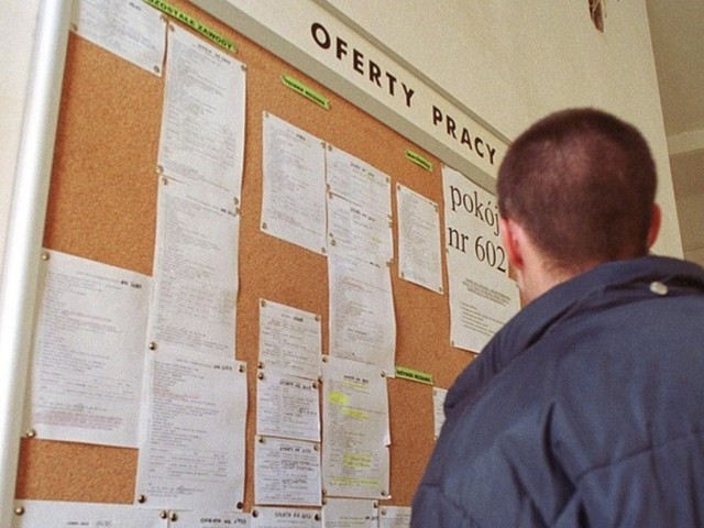 Praca w Rybniku: Zobacz aktualne oferty dostępne w urzędzie pracy |  Czerwionka-Leszczyny Nasze Miasto