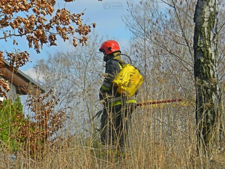 Dla strażaków to był weekend pod znakiem pożarów traw ZDJĘCIA