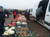 Takie są ceny warzyw i owoców na targowisku w Kujawsko-Pomorskiem. "W dużym sklepie papryka i ogórki droższe od mięsa"