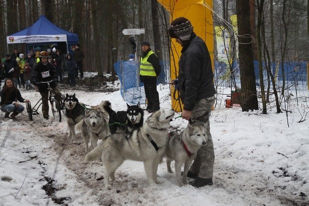 Dąbrowa Górnicza: Ponad 30 zawodników w Eurocampingu. II Mistrzostwa Ziemi Śląsko-Dąbrowskiej