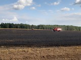 Pożar w gminie Mieścisko. Spłonęło kilka hektarów zboża i ścierniska 