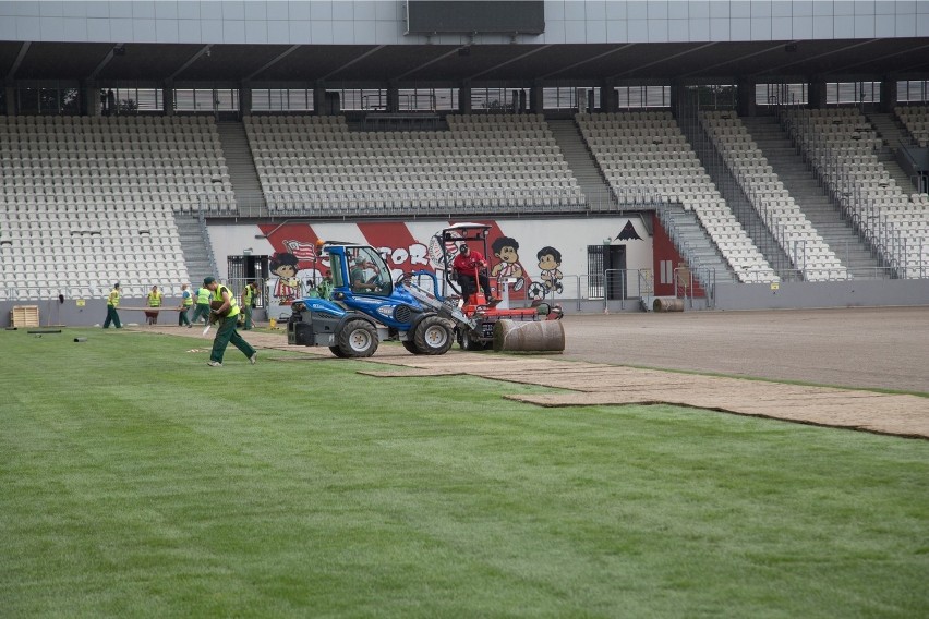 Wymiana murawy na stadionie Cracovii [ZDJĘCIA]