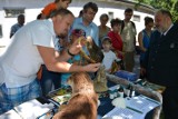 Śląskie zoo: będzie można kupić owadożerne roślinki i spotkać się z celnikami