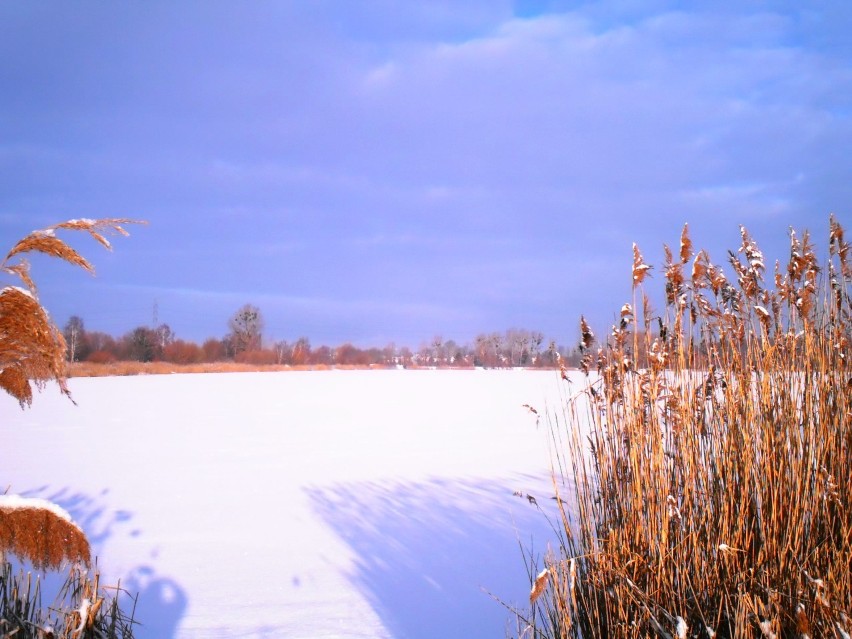 Opolska Malina w zimowej odsłonie [zdjęcia] 