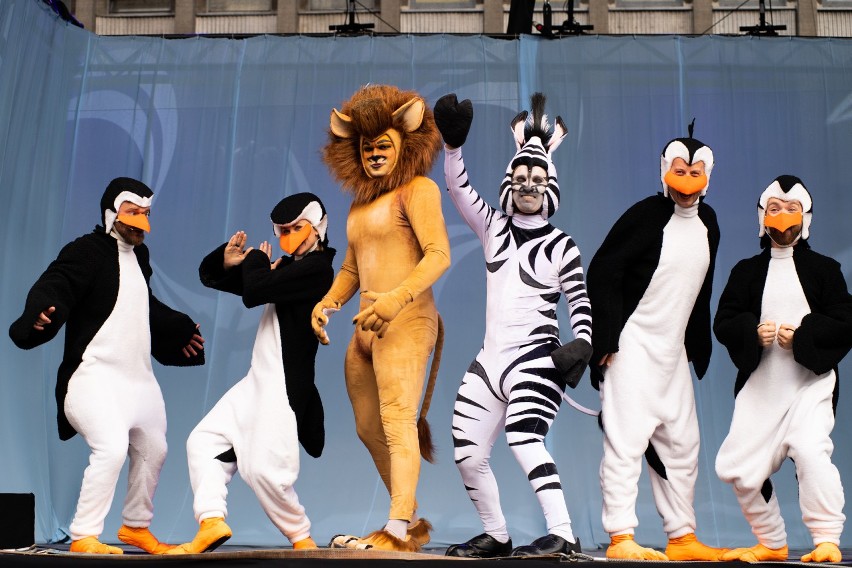Prezentacja ekipy i kostiumów z musicalu "Madagaskar" w Pasażu Schillera [ZDJĘCIA]