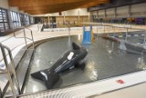 Otwarcie Krytej Pływalni Solan w Nowej Soli. Będzie aqua-aerobic i nauka pływania dla dzieci