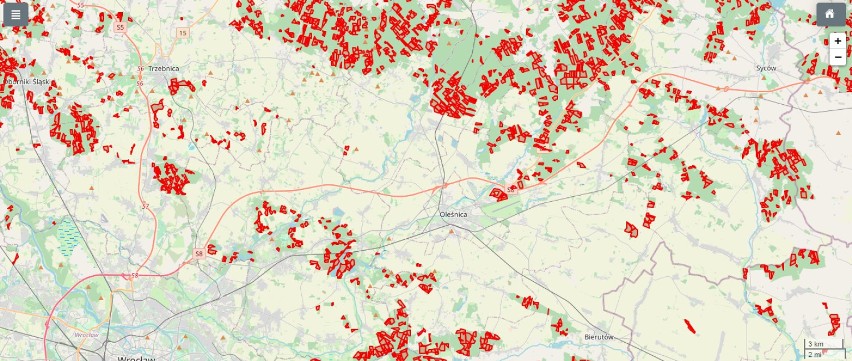 Lasy koło Oleśnicy przeznaczone do wycinki. Powstała szczegółowa mapa (ZDJĘCIA)