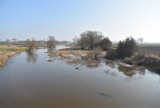 Rośnie poziom wody w rzece Prośnie. W ciągu tygodnia podniósł się o blisko 50 cm                        