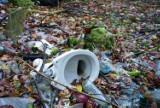 "Ob-leśność", czyli nasze lasy toną w śmieciach. Zatrważająca wystawa zdjęć w Pajęcznie