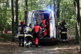Śledztwo w sprawie tragedii w Lasku Złotoryjskim potrwa do połowy kwietnia
