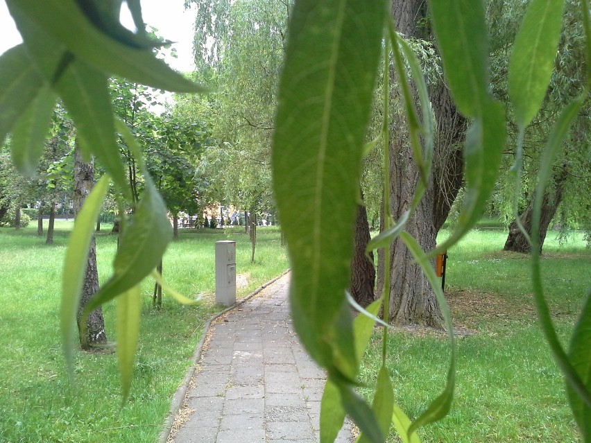 Po wakacjach w parku Usteckich Stoczniowców powstanie tężnia. Miasto ogłosiło przetarg