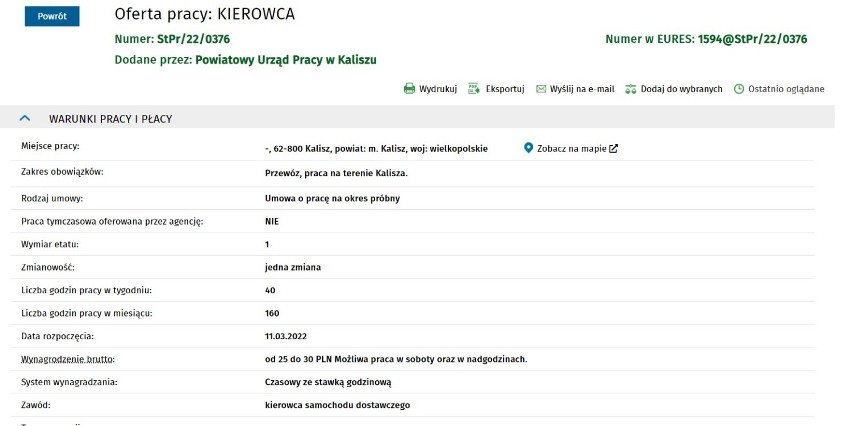 Nowe oferty pracy w Powiatowym Urzędzie Pracy w Kaliszu. Sprawdź za jaką stawkę