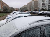 Spadł pierwszy śnieg w Łodzi. Temperatury w nocy spadają już do zera stopni. Zobacz zdjęcia