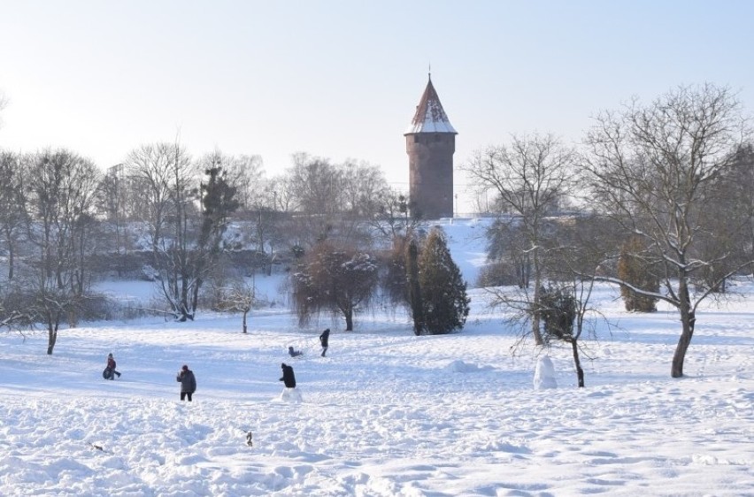 Malbork. Plac zabaw nad Nogatem będzie kosztował prawie 4,6 mln zł. Urząd Miasta wyłonił wykonawcę tego oczekiwanego przedsięwzięcia