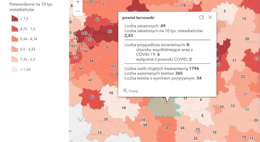 Raport Ministerstwa Zdrowia  - 13.04.2021