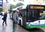 Od dziś zmiany w kursowaniu autobusów na liniach 53, 60 i 80