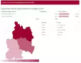 Wyniki wyborów prezydenckich 2020 MIKOŁÓW. W pow. mikołowskim wygrał Rafał Trzaskowski, ale nie we wszystkich gminach i miastach