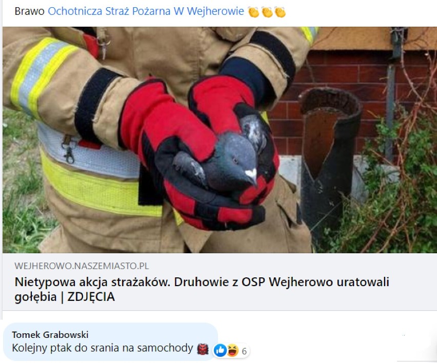 Najzabawniejsze i najlepsze komentarze czytelników wejherowo.naszemiasto.pl
