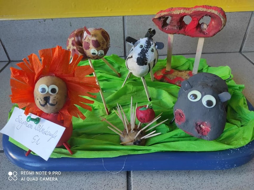 Konkurs "Ziemniaki - Cudaki" w Publicznym Przedszkolu nr 3 w Wieluniu. Zobaczcie prace przedszkolaków wykonane z rodzicami ZDJĘCIA