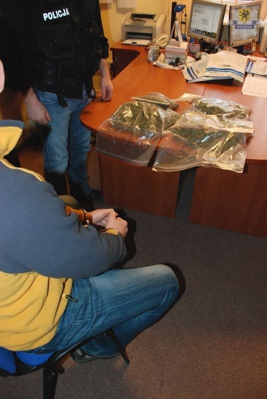 KMP Słupsk: Prawie 2 kg marihuany i amfetamina w mieszkaniu [ZDJĘCIA]
