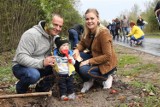 Wzdłuż ścieżki z Postomina do Pieńkówka zasadzili 26 drzew, które upamiętniają narodziny dzieci [ZDJĘCIA]