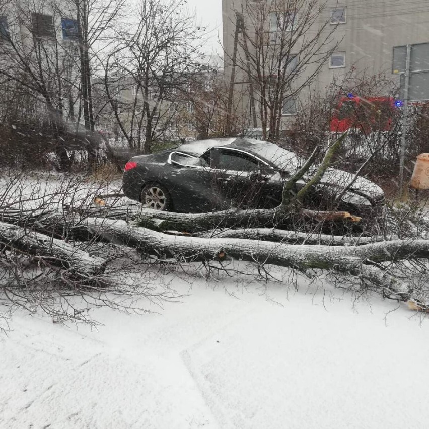 Nawałnica z silnym wiatrem przeszła nad Piotrkowem i...