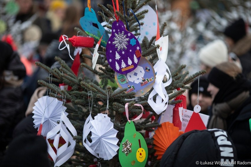 Jarmark Świąteczny w Radomiu i konkurs na najpiękniej udekorowaną choinkę. Laureaci otrzymali drzewka. Zobacz zdjęcia