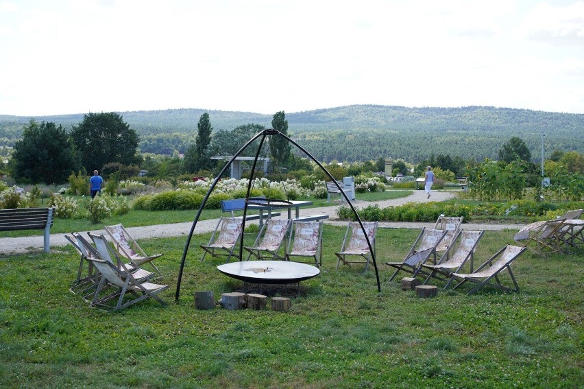 Ogród Botaniczny w Kielcach w pełni letniego kwitnienia. Zobacz, jak tu pięknie w sierpniu