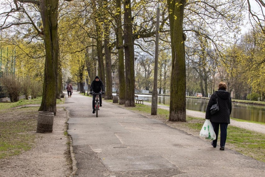 Otoczenie Starego Kanału Bydgoskiego jest jest parkiem o...