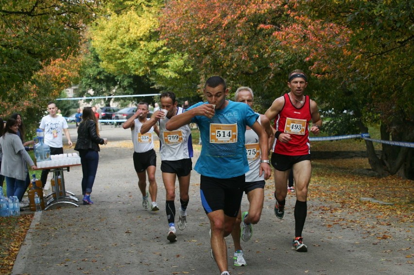 Legnicki półmaraton część 3 (ZDJĘCIA)