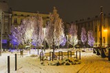 Pierwszy śnieg w Ostrowie Wielkopolskim. Zobacz zdjęcia